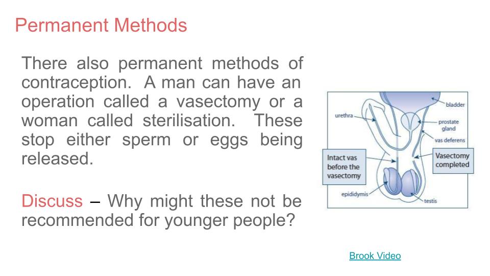 Contraception KS4