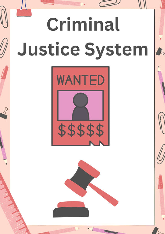 Criminal Justice System Lesson
