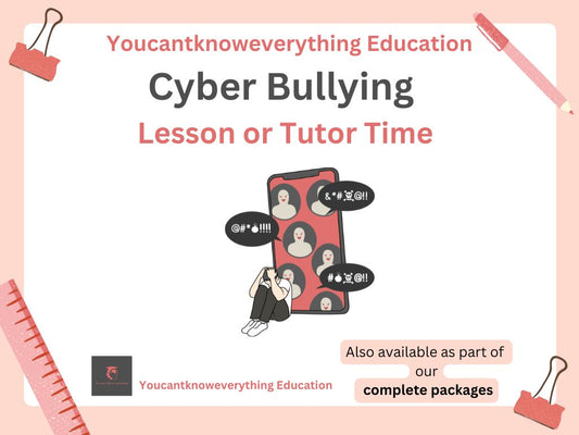 cyber bullying pshe lesson affordable ks3 tutor time resource