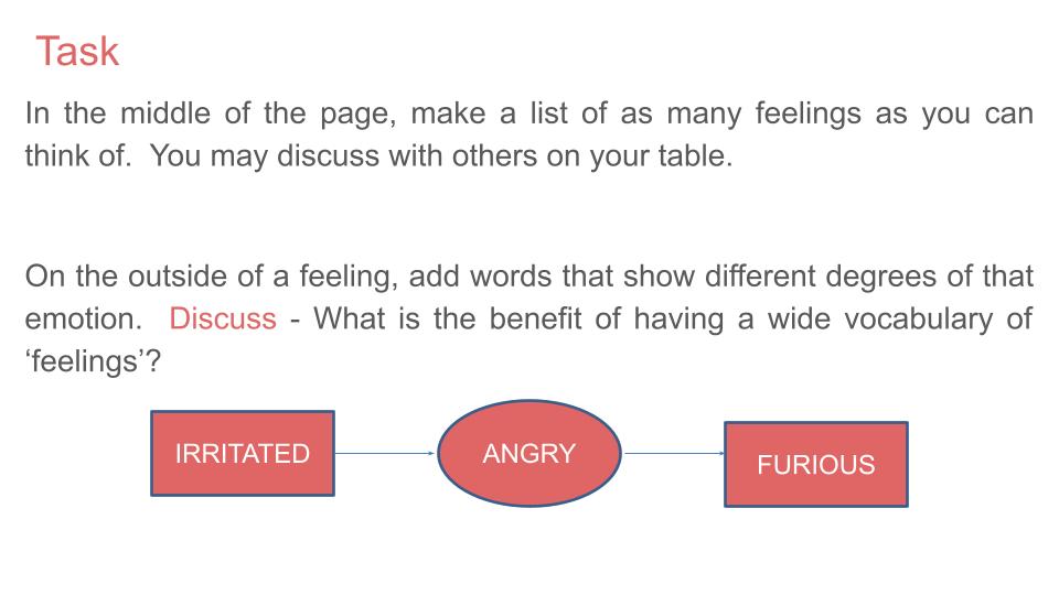 Mental Health Lesson