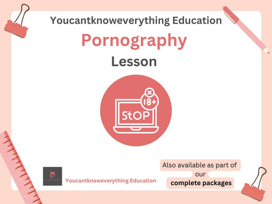 pornography pshe lesson ks3 ks4